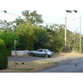DSC01441